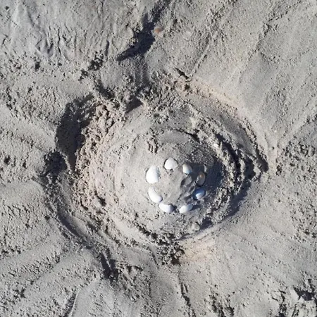 Villavilla 596 - Romo, Sydjylland Holiday home *